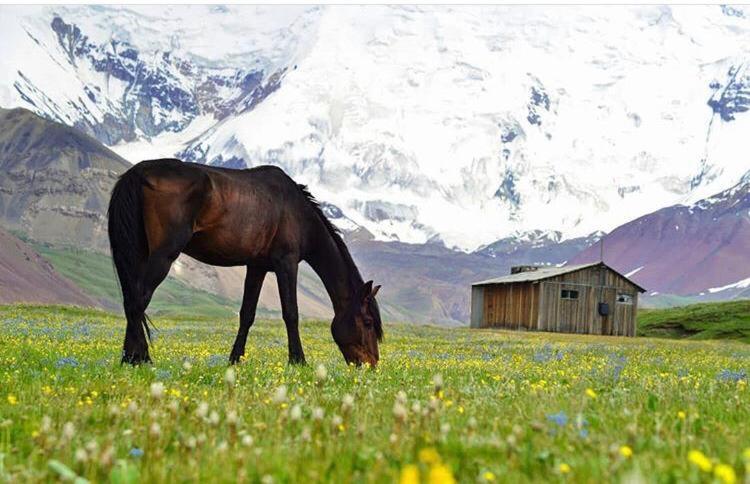 Готель Pamir Nomad Yurt Camp Kara-Kavak Екстер'єр фото